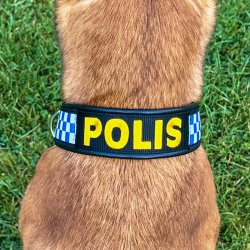  Broderi p� webbing (l�der/webbing halsb�nd)